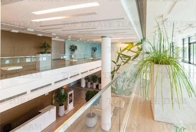 Spatiu de Birouri de 494 mp in Zona Baneasa - 2