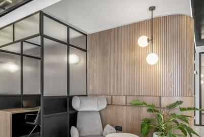 Spatiu One Herastrau Plaza - 3