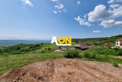 Teren Construcții intravilan de 1000 mp, în Cetate - 3
