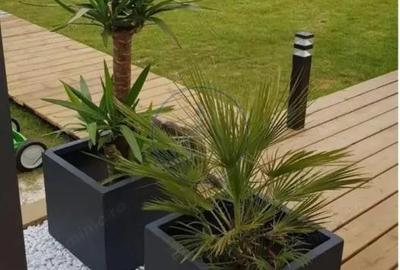 Casă cu 3 camere cu Teren 500 Mp în Central