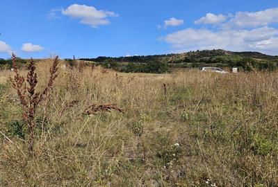 Teren cu autorizatie pentru doua case in Chinteni - 7