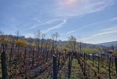 Teren de 1308 mp, în Rediu - 3