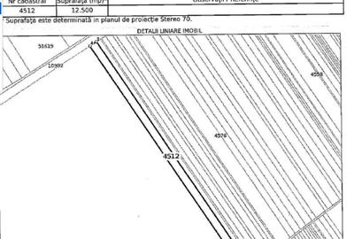Teren extravilan 12500 mp, Valea Mare, Olt Teren extravilan 12500 mp, Valea Mare, Olt - 2