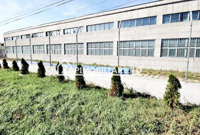 Hale de 1000mp.650mp.360mp.cu pod rulant birouri 200-80-50mp - 4