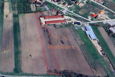 TEREN INTRAVILAN | 4300 MP | HIDISELUL DE SUS | BIHOR - 1