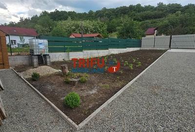 Casă cu 1 camere cu Teren 1335 Mp în Ighiu - 10