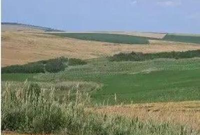 Teren Extravilan Aroneanu, ID: R2577828 - 6