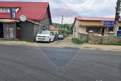 Casă cu 3 camere cu Teren 5000 Mp în Cislău - 10