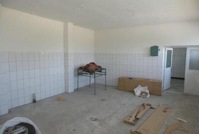 De vanzare hala industriala spa?iu produc?ie & depozitare Odobe?ti - 5