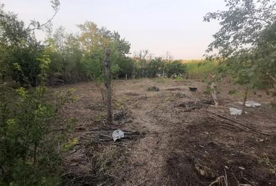 Frumusani, Calarasi - 1