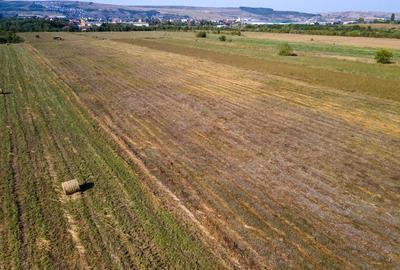 Teren intravilan, 2.800 m2, Cluj-Napoca - 11