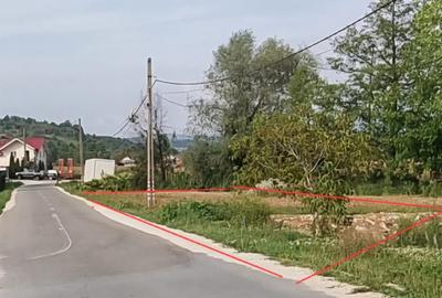 Teren de 1374 mp, în Remetea - 3