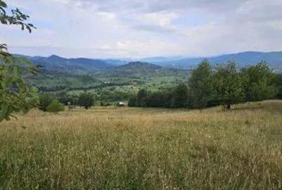 Teren extravilam, loc. Rona de Sus, jud. Maramure?, - 4