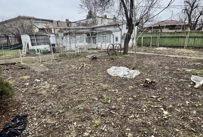 Casă cu Teren 456 Mp în Chitila - 2