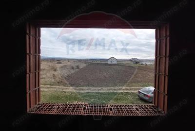 Casă cu Teren 1079 Mp în Petroasa Mare - 6