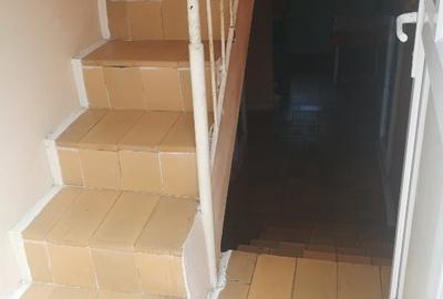 Casa de vanzare in Viile Noi - 7