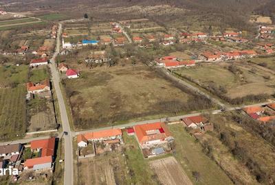Casă cu 8 camere cu Teren 7235 Mp în Traian Vuia - 17