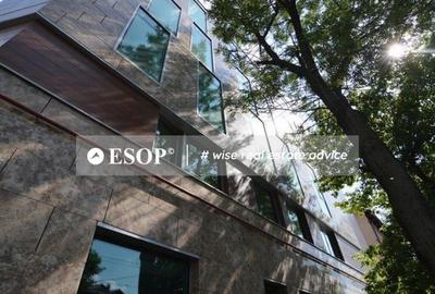 Spațiu comercial, de 602 mp, în Ferdinand - 4