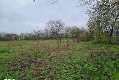 Teren de 1000 mp, în Aroneanu - 7