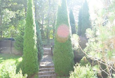 Vila de vacanta situata in Predeal-Cioplea - 1