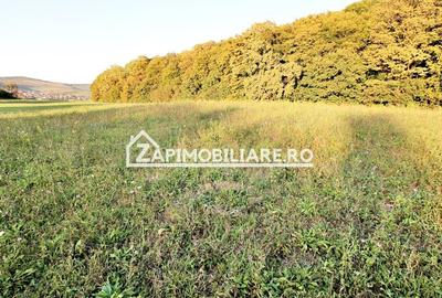 De vanzare 2 terenuri de 29.500 mp si 1.400 mp.29 euro mp - 5