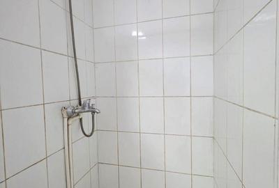 Spațiu comercial, de 291 mp, în Central - 10
