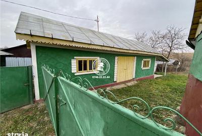 Casă cu 3 camere cu Teren 1000 Mp în Horlești - 6