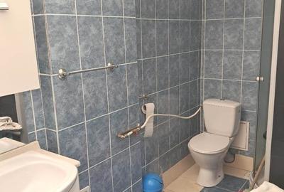 Apartament cu 3 camere decomandat, mobilat în Terezian - 8