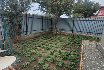 Valu lui Traian -casa 3 camere cu teren 300 mp -gaze la poarta -79900 Euro neg - 33