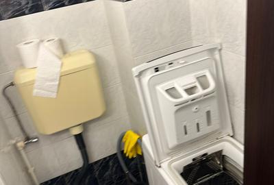 FALEZA NORD - REYNA 3 CAMERE DECOMANDAT MOBILAT, UTILAT, CENTRALA GAZ 650 EURO - 10