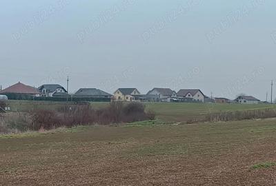 Teren de 558 mp, în Livada de Bihor - 5