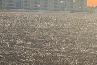 Spațiu comercial, în Brănești