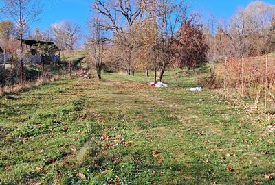 Vand casa de vacanta in Comuna Cotmeana, Sat Ursoaia, jud Arges - 6