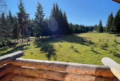 De Vanzare Cabana in   Poiana Negrii cu Clasificare la  Ministerul Turismului - 4