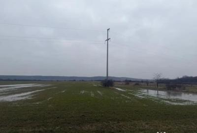 Teren de 5000 mp, în Brestei - 5