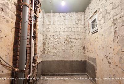 Apartament 3 camere Tineretului – renovare începută, decomandat, P. Norilor. Apartament 3 camere Tineretului – renovare începută, decomandat, P. Norilor. - 7