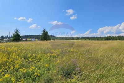 Teren Construcții intravilan de 30930 mp, în Poiana Stampei - 8