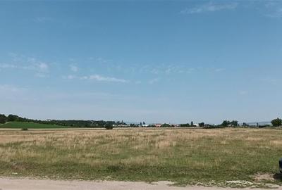 Lot pentru caminul tau, 800 mp intravilan, Bod, 15 min Brasov - 9
