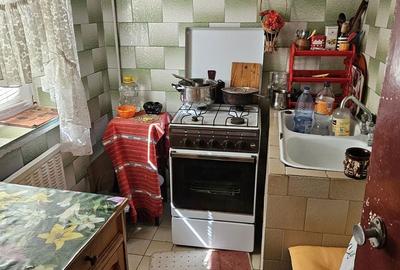 Garsonieră semidecomandată în Craiovița Nouă - 1