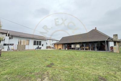 Afacere la cheie-Spalatorie, Vulcanizare Auto, Lac Agrement-Loc.Tasnad Jud. SM - 9