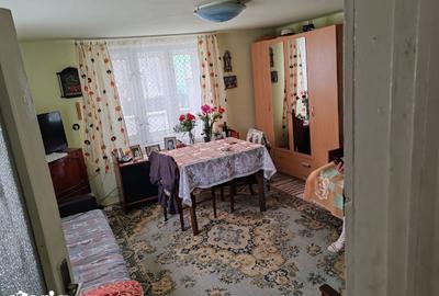 Casă cu 4 camere cu Teren 1470 Mp în Baciu - 1