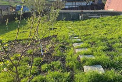 Casă cu 2 camere în Vulturi - 3