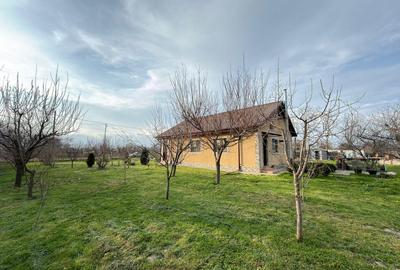 Casă cu 3 camere cu Teren 4858 Mp în Silistraru - 8