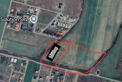 Teren parcelabil cu toate utilitatile 10.000 mp Moșnița Nouă – 18 €/mp - 2