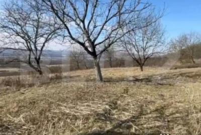 Teren de 20000 mp, în Central - 4