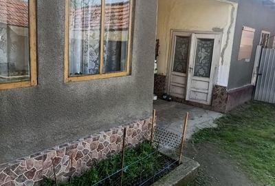 Casă cu 3 camere cu Teren 1420 Mp în Central - 15