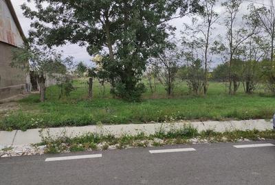 Teren de 1460 mp, în Măureni - 9