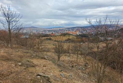 Teren de 24381 mp, în Central - 13