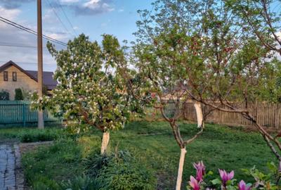 Casa batraneasca , foisor si teren de vanzare - 8