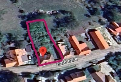 Casa cu teren 493mp Sf Gheorghe , str Padurii, nr. 14 - 4